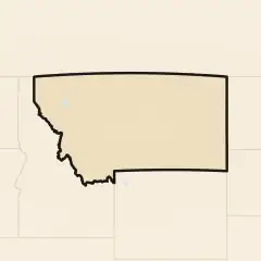 Montana: its real shape and the crowd's