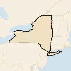 New York: its real shape and the crowd's