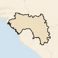 Guinea: its real shape and the crowd's